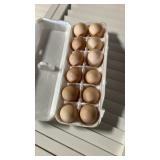dozen choclate orphington eggs