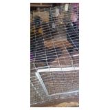 Sizzles, Coachin/Silkie Mix - 2 Hens,1 Rooster