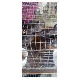 Barred Rock Game Cross