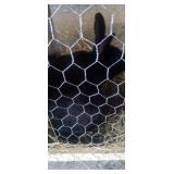 Buck- New Zealand (with papers)