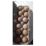 Guinea Eggs - 1 Dozen