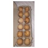 Guinea Eggs - 1 dozen