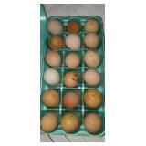 Guinea Eggs - 18 Pack