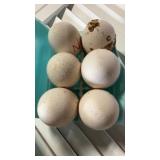 Narragansett turkey eggs half dozen