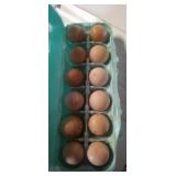 Guinea Eggs - 1 Dozen