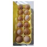 Guinea Eggs - 1 Dozen