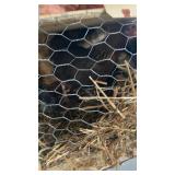 Bantam hen and 12 chics