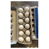 Golden Death Layer Eggs - 12 pk