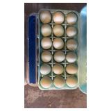 Crest Cream Legbar Eggs - 18 pk