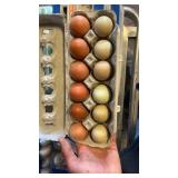6 Copper Maran Eggs, 6 Crest Cream Legbar Eggs