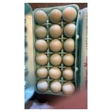 Crest Cream Legbar Eggs - 18 pk