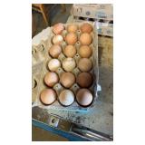 18 count guinea eggs