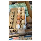 1 dozen eating/hatching eggs