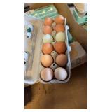 1 dozen eating/hatching eggs