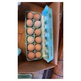 1 dozen eating/hatching eggs