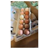 1 dozen eating/hatching eggs