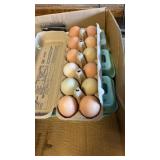 1 dozen eating/hatching eggs