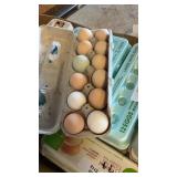 1 dozen eating/hatching eggs