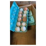 1 dozen eating/hatching eggs
