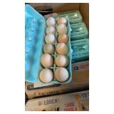 1 dozen eating/hatching eggs
