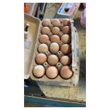 18 count guinea eggs   pearl,blue,brown