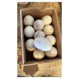 brown chinese geese eggs 11 eggs