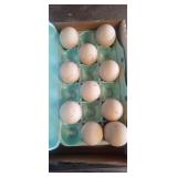 10 peacock eggs