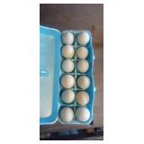 1 doz F1 Olive Egger eggs
