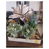 Plant ?? decorative