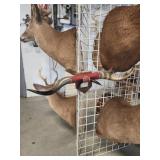 Bull horn mount