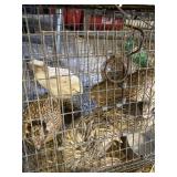 quail