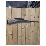 Beeman 1783 Silver Bear pellet gun