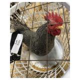 show quailty barred rock male