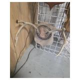 8 point deer antler mount