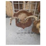 Deer antler mount
