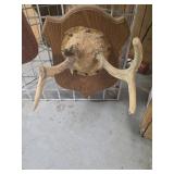Deer antler mount
