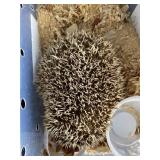 Hedgehog