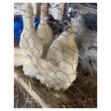 Zombie Hens