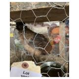 laughing hen