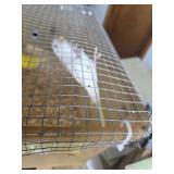 Mated Parakeet Pair