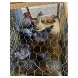 Mosaic Chickens