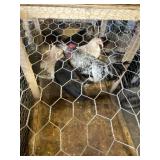 Mosaic Chickens