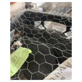 laying pullets