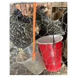 diamond dutch chicks