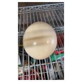 fertile ostrich egg