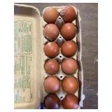 cooper maran eggs