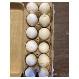 large white eggs