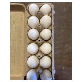 large white eggs