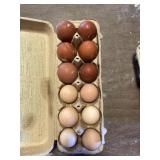 6 laughing chicken eggs 6 copper maran eggs