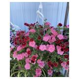 Hanging Basket of Your Choice, Bricker